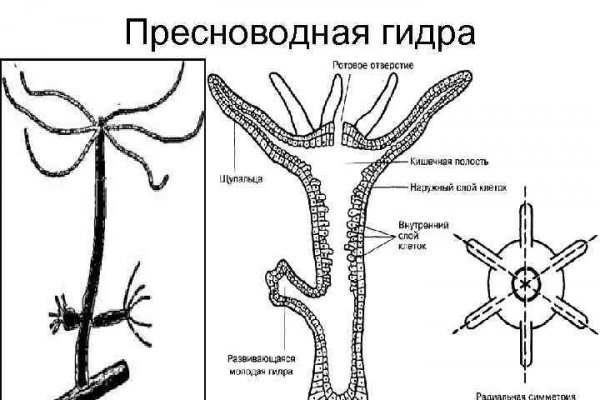 Сайт омг магазин закладок пермь